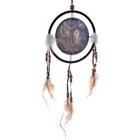 Dromenvanger met Uil en Fee 16cm